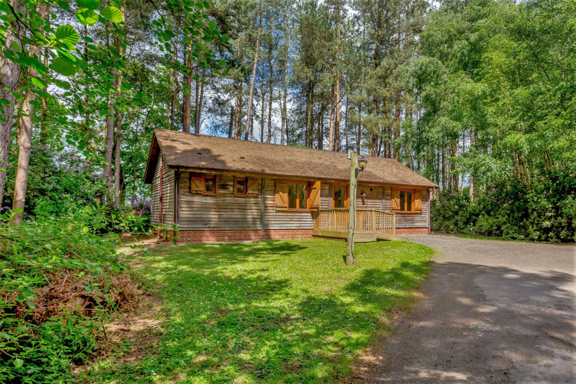 Woodmans Lodge (pet) Griffon Forest