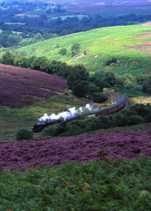 North York Moors