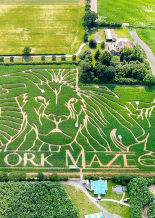 York Maze