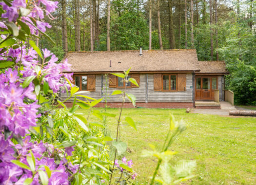 EGG-CELLENT EASTER OFFERS