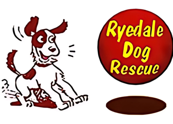 RYEDALE DOG RESCUE