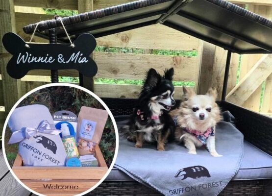Dog Hamper & Cabana