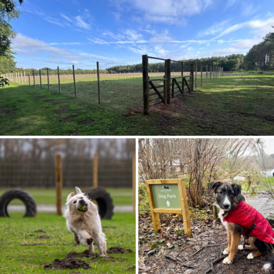 dog_park