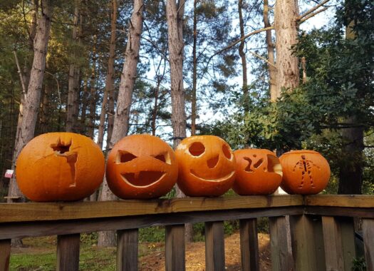 10% Off October Breaks