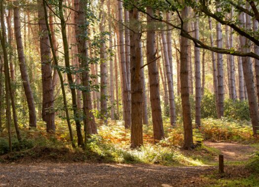 Autumn Getaway Deal