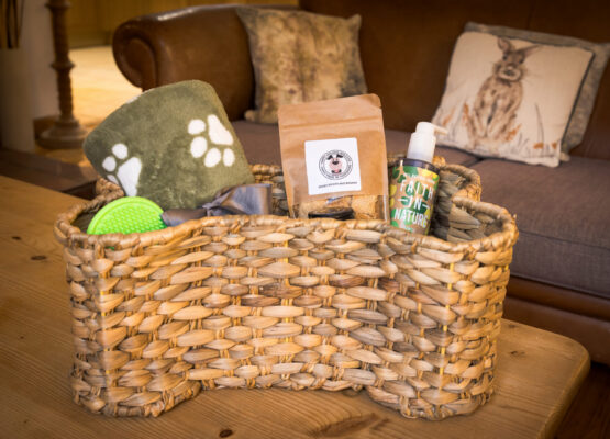Dog Pamper Hamper