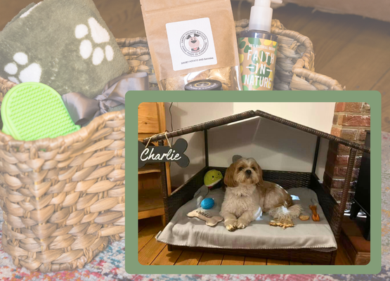 Dog Hamper & Cabana